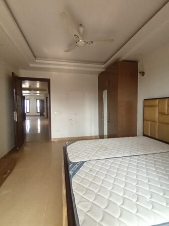 3 BHK Builder Floor For Rent in SS Southend Floors South City 2 Gurgaon  8122835