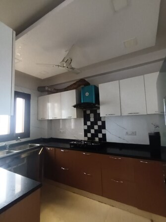 3 BHK Builder Floor For Rent in SS Southend Floors South City 2 Gurgaon  8122835