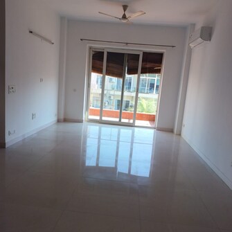 2 BHK Builder Floor For Rent in Ansal Sushant Lok I Sector 43 Gurgaon  8122979