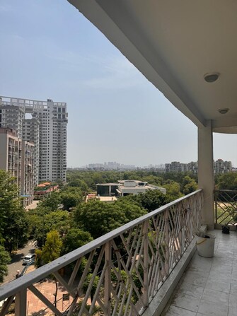 3 BHK Apartment For Rent in Amrapali Eden Park Sector 50 Noida  8123002