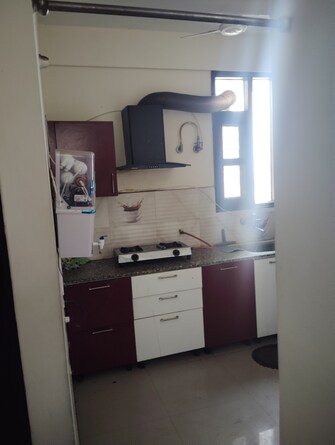 2 BHK Apartment For Rent in Sector 127 Mohali  8122992