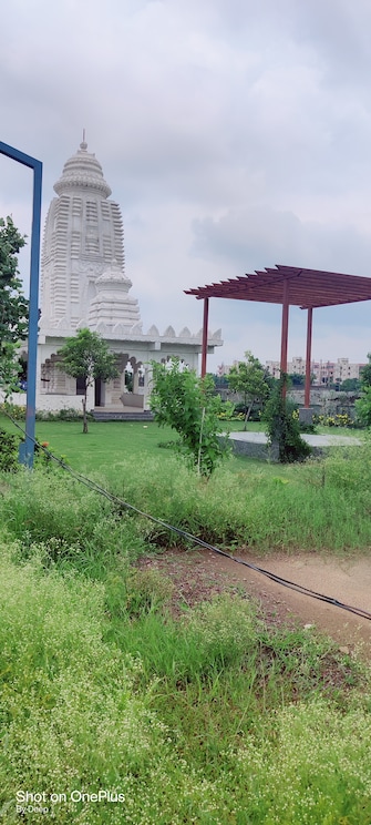 Plot For Resale in Kachana Raipur  8122997