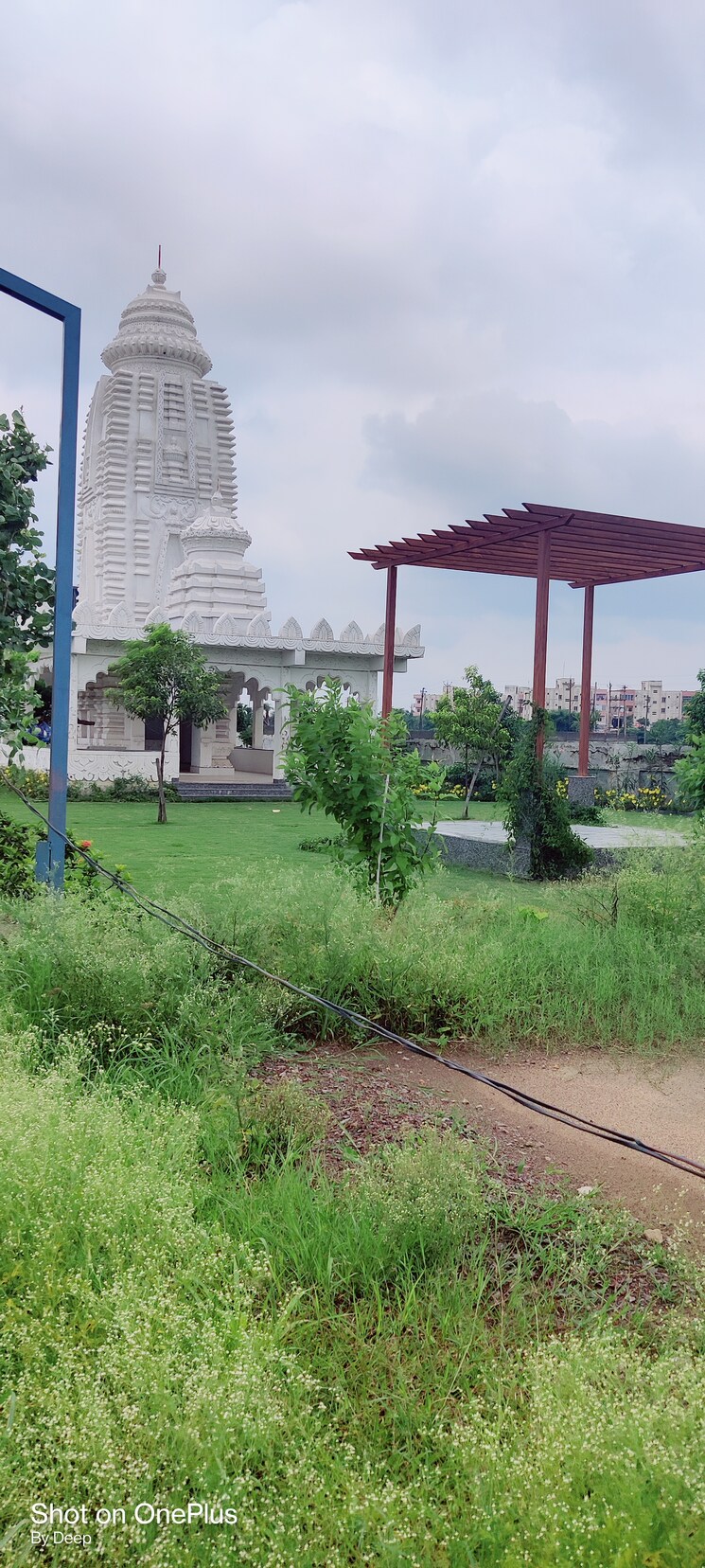 Garden, kachana  1418 Sq.Ft. Plot In Kachana Raipur 8122997
