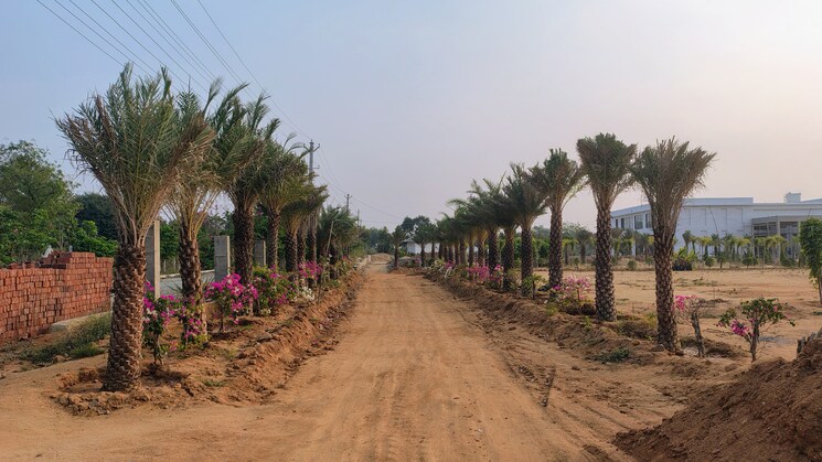 Exterior View, medchal  363 Sq.Yd. Plot In Medchal Hyderabad 8123085