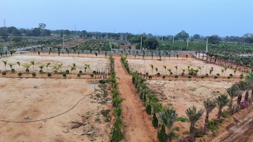 Plot Area in  Plot at Medchal – for Sale