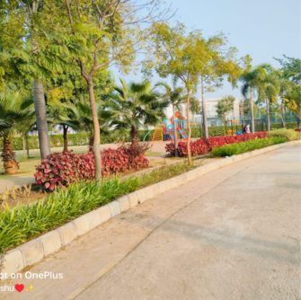 Plot For Resale in Amleshwar Raipur  8123155