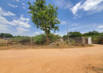 Plot Area in  Plot at Shamshabad – for Sale