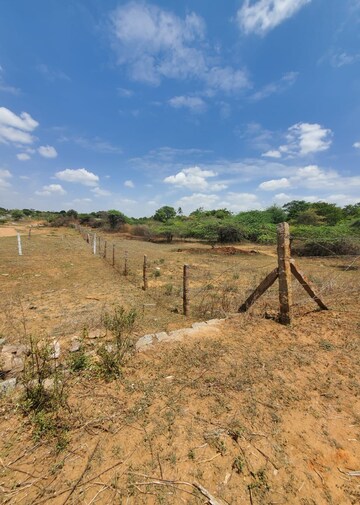 Plot Area in  Plot at Shamshabad – for Sale