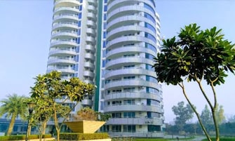 4 BHK Apartment For Rent in Omaxe Forest Spa Sector 93b Noida  8123189