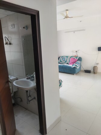 3 BHK Apartment For Rent in SS The Coralwood Sector 84 Gurgaon  8123253