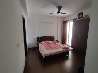 3 BHK Apartment For Rent in SS The Coralwood Sector 84 Gurgaon  8123253