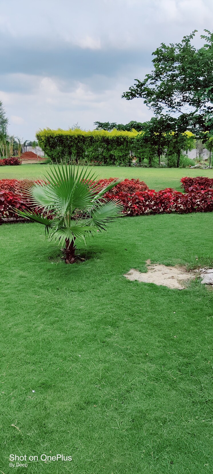 Garden, dhamtari road  1800 Sq.Ft. Plot In Dhamtari Road Raipur 8123518