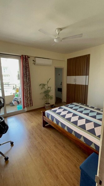 3 BHK Apartment For Rent in Tulip Violet Sector 69 Gurgaon  8123594