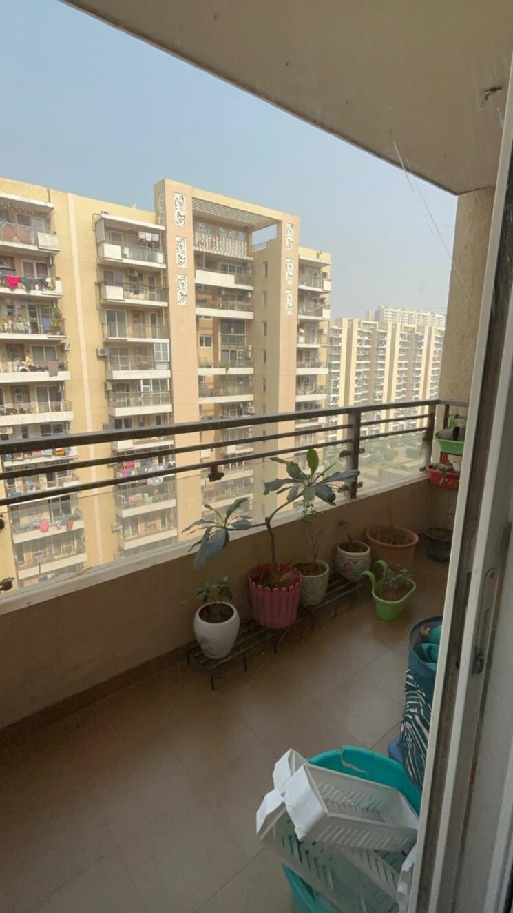 Balcony, tulip-violet 3 Bedroom 1578 Sq.Ft. Apartment In Sector 69 Gurgaon 8123594
