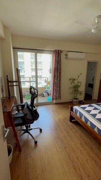 3 BHK Apartment For Rent in Tulip Violet Sector 69 Gurgaon  8123594