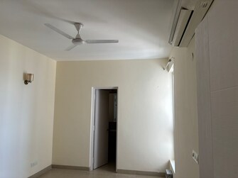 2 BHK Apartment For Rent in Pioneer Park Phase 1 Sector 61 Gurgaon  8123665