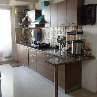 3 BHK Apartment For Rent in Tulip Violet Palda Dhaani Gurgaon  8123717