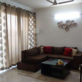 3 BHK Apartment For Rent in Tulip Violet Palda Dhaani Gurgaon  8123717