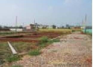 Plot For Sale in Sector 82