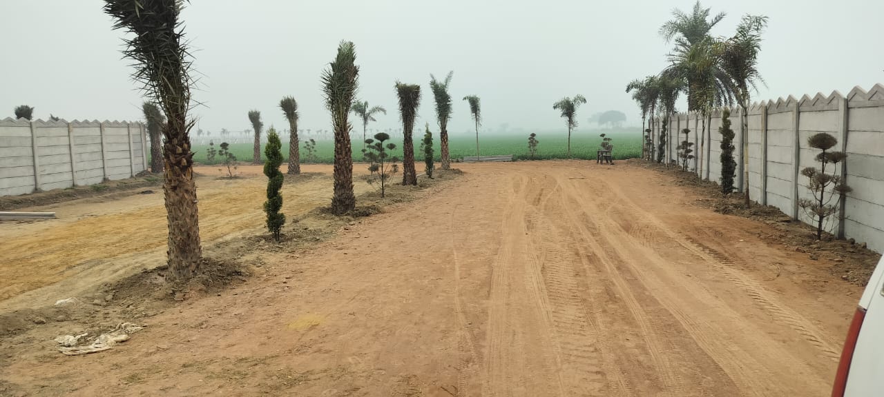 Plot For Sale in Ark Vista Jewar Internati