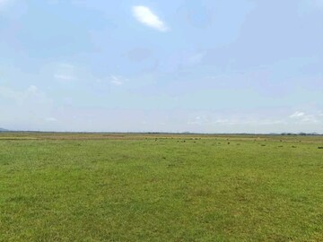Plot Area in  Plot at Mahaveer Nagar – for Sale
