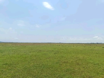 Plot Area in  Plot at Grand Road – for Sale