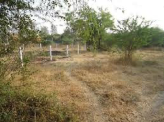 Plot For Resale in Sanand Ahmedabad  8123886