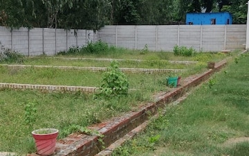 Plot For Sale in Sector 82