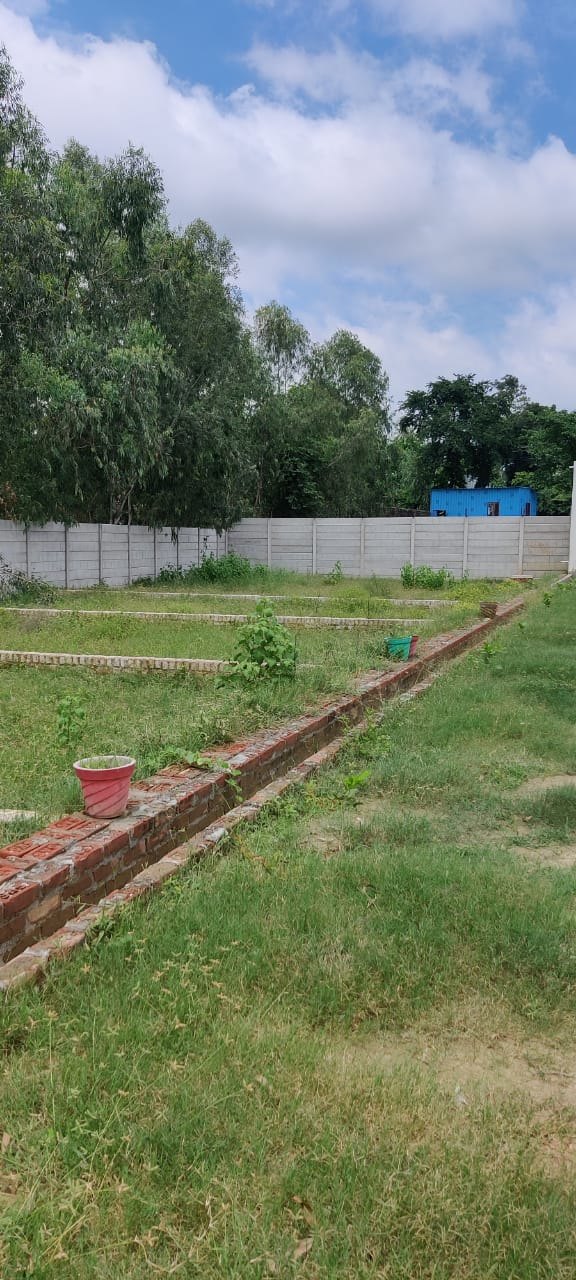 Plot For Sale in Jahangirpur , Jewar Road