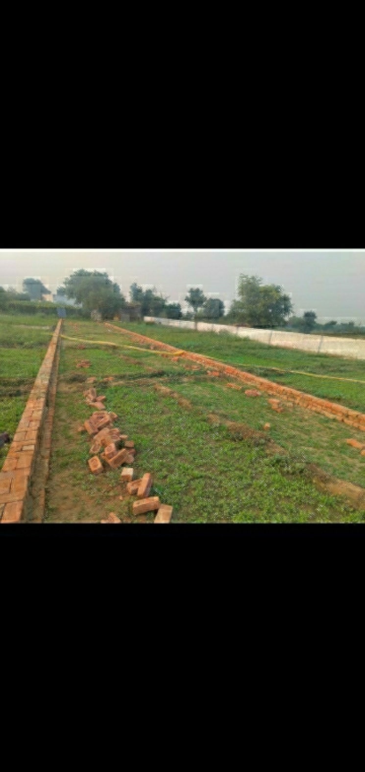 Garden, grihapravesh  200 Sq.Yd. Plot In Sector 77 Noida 8123929