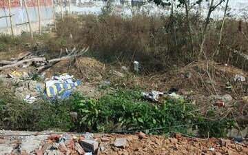 Plot For Sale in Sector 82