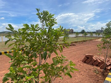 Plot Area in  Plot at Sundarpada – for Sale