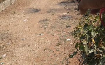 Plot For Sale in Yapral