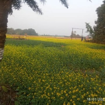  Plot – Exterior View View at New Town - for Sale