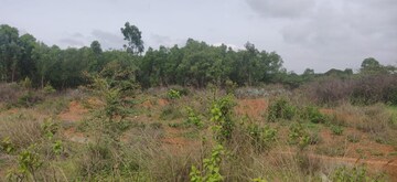 Plot Area in  Land at Chintamani – for Rent