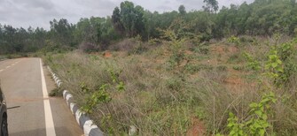 Commercial Land 2 Acre For Rent in Chintamani Bangalore  8124297