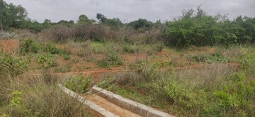 Plot Area in  Land at Chintamani – for Rent