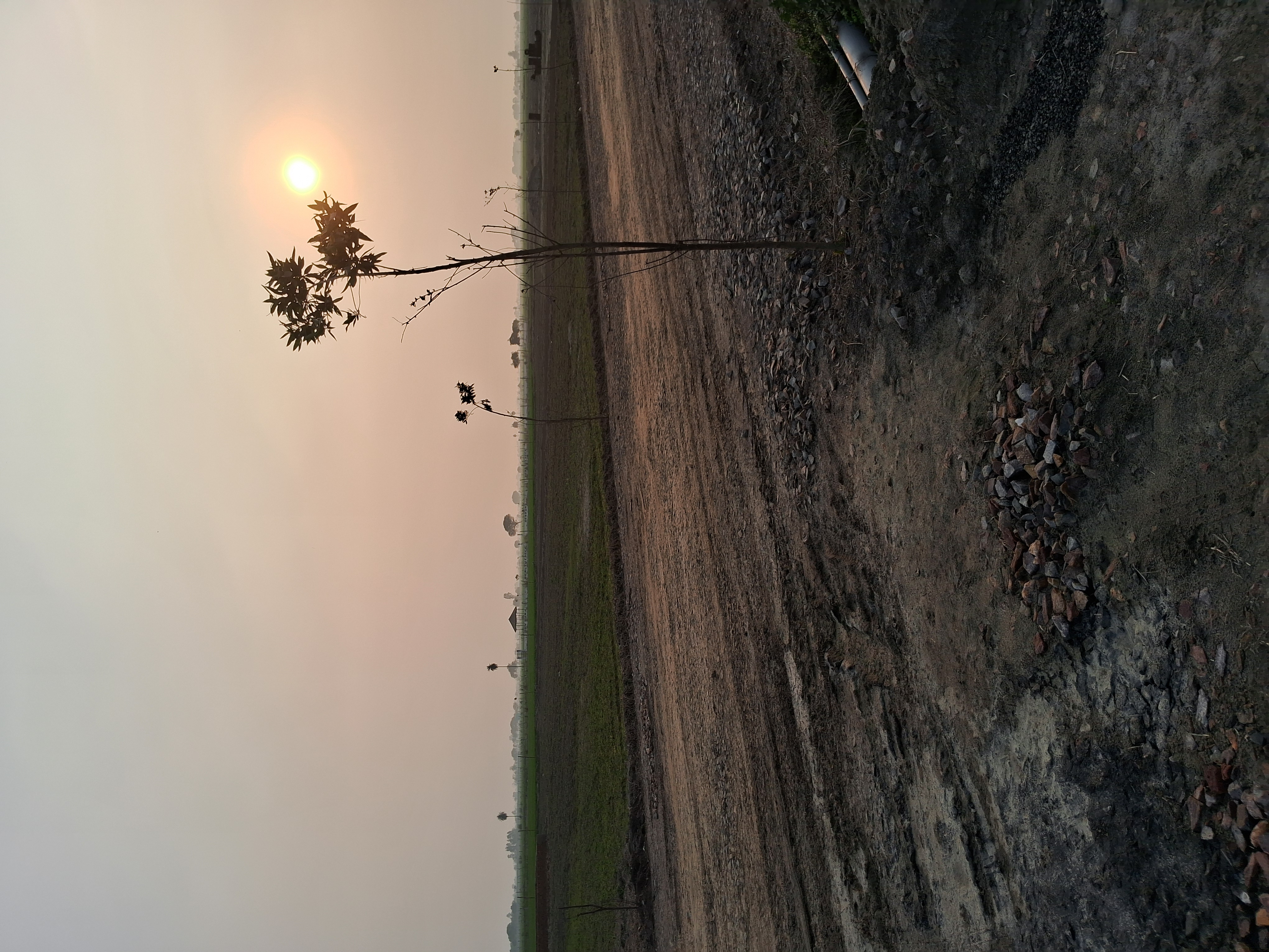 Plot For Sale in Vaidic Villaage 