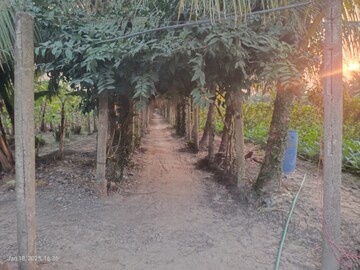 Plot Area in 3 BHK Villa at Baruipur – for Sale