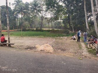 Commercial Land 1 Acre For Resale in Baruipur Kolkata  8124569