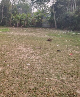 Commercial Land 1 Acre For Resale in Baruipur Kolkata  8124569