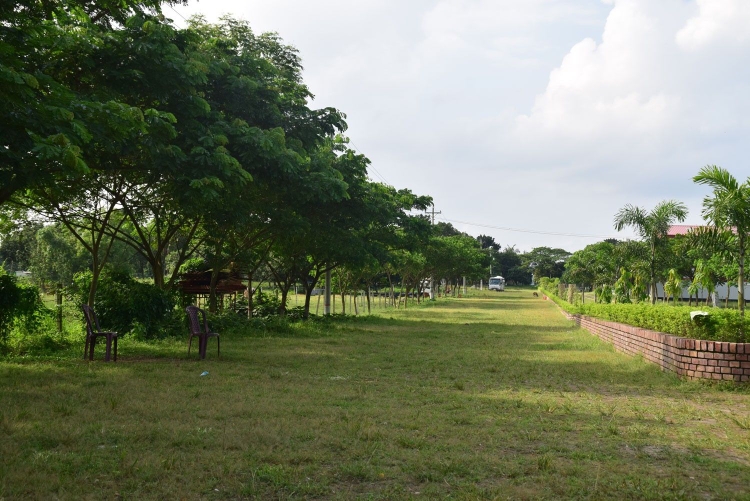 Plot For Sale in Jewar Airport Road Khurja