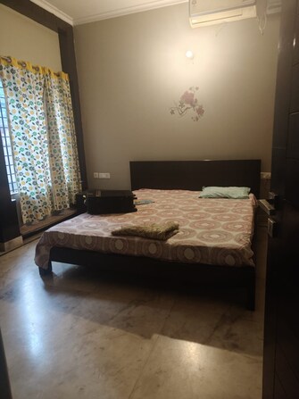 3 BHK Apartment For Rent in Alaknanda Delhi  8124813