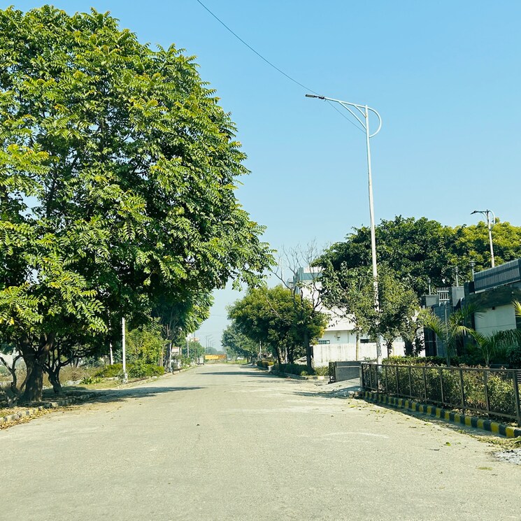 Garden, tdi-city-kundli  250 Sq.Yd. Plot In Sector 61 Sonipat 8124812