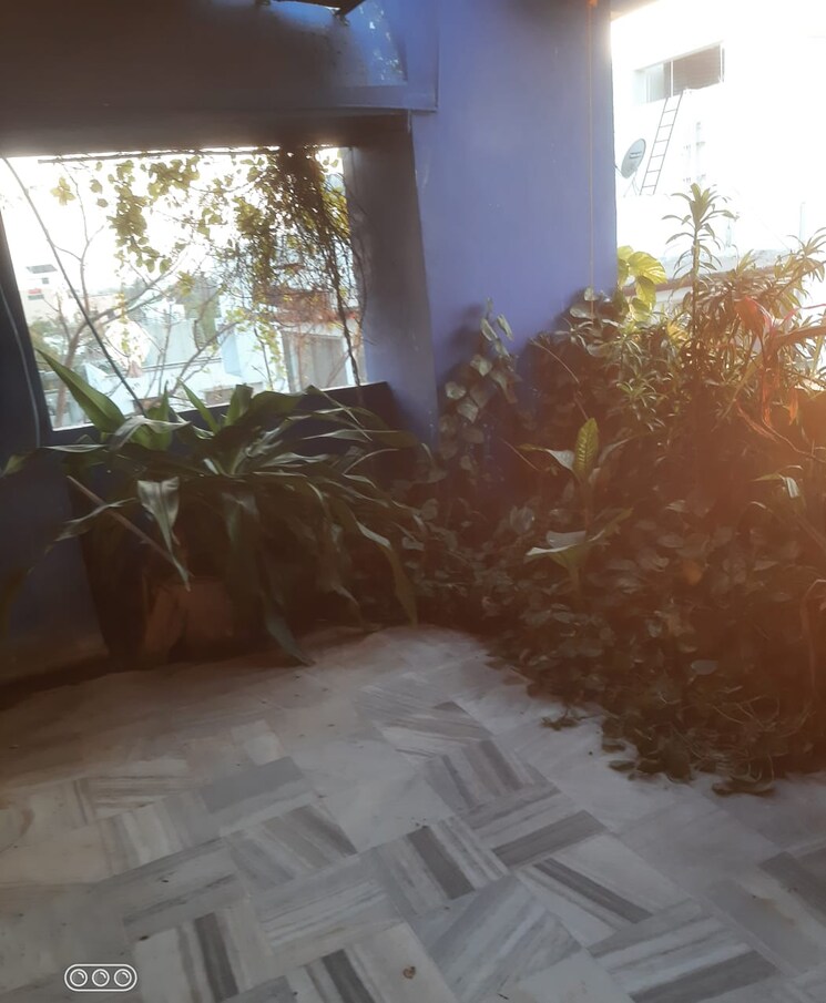 Exterior View, jetalpur 4 Bedroom 3000 Sq.Ft. Penthouse In Jetalpur Vadodara 8124814