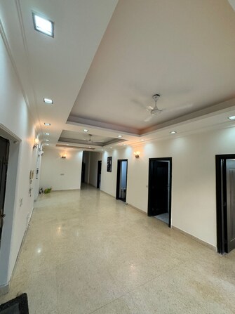 4 BHK Builder Floor For Rent in DLF Regency Park I Dlf Phase iv Gurgaon  8124871