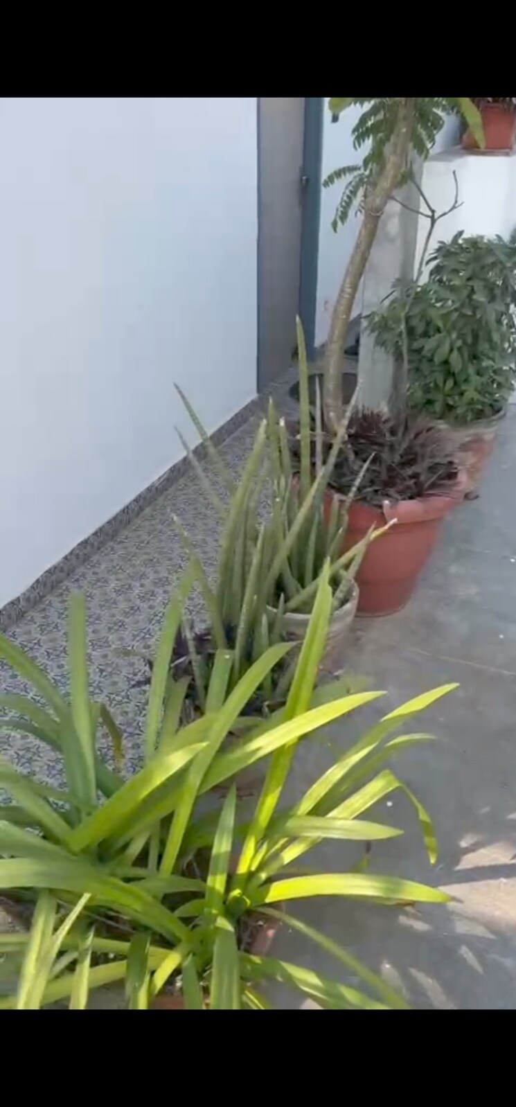 Exterior View, kalkaji 1 RK 300 Sq.Ft. Builder Floor In Kalkaji Delhi 8124939