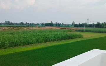 Plot For Sale in Sector 82