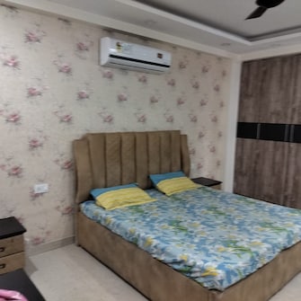 3 BHK Builder Floor For Rent in Unitech Residency Greens Durga Colony Gurgaon  8125039