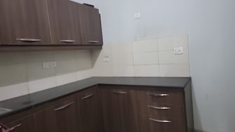 3 BHK Apartment For Rent in Jp Nagar Mysore  8125080